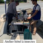 Atelier Hôtel à insectes